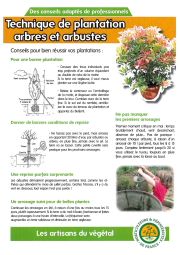 Plantation arbres et arbustes_page-0001