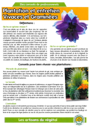 Plantation et entretien vivaces et graminées_page-0001