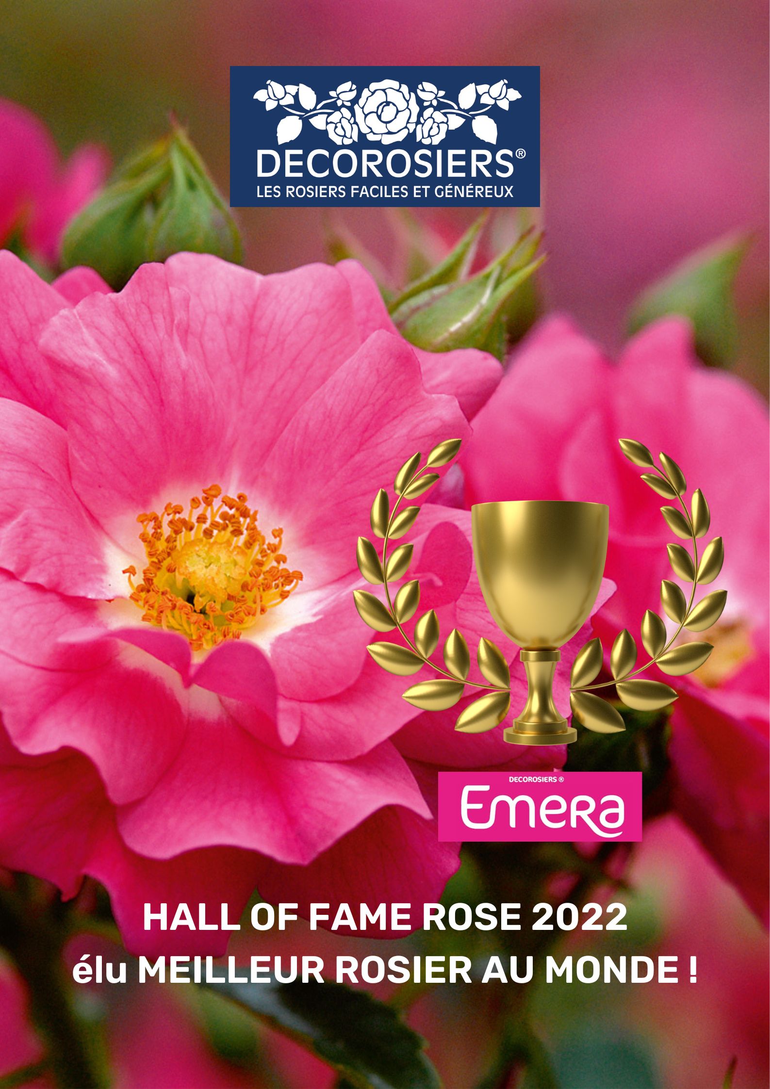 Affiche Emera Hall of Fame