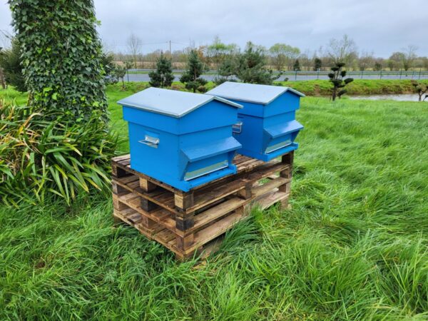 20240404_105845_resized